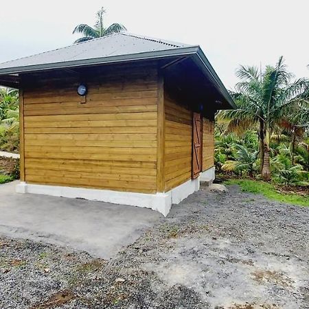 Maison Le Bois Joli Coeur Saint-Benoît Esterno foto